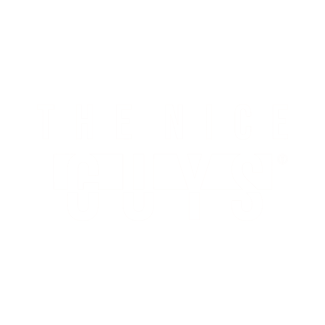 The Nice Guys